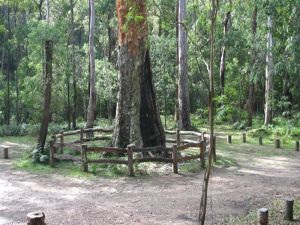 Six Mile Creek campground - Accommodation Adelaide