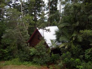 Turkeys Nest Rainforest Cottages Mt Glorious - Accommodation Adelaide